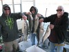 (04/20/2015) - Nice Striped Bass